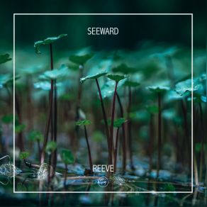 Reeve album cover