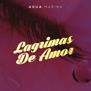 Lágrimas De Amor album cover
