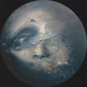 ShitStorm (Maxi-Single) album cover