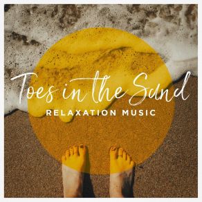 Toes In The Sand Relaxation Music album cover