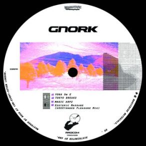 Magic Arp album cover