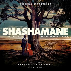 Shashamane album cover