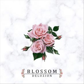 Blossom album cover