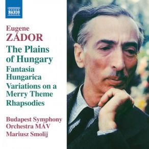 Zádor: The Plains Of Hungary album cover