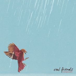 Composure album cover