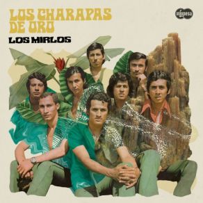 Los Charapas De Oro album cover