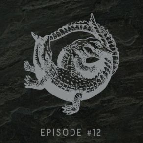 Episode # 12 album cover