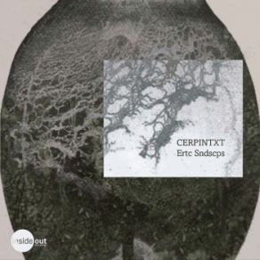 Ertc Sndscps album cover