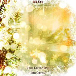 Special Christmas Music (Merry Christmas) album cover