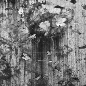 Threnody album cover