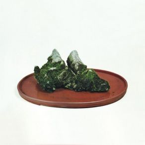 YOrUkOrU album cover