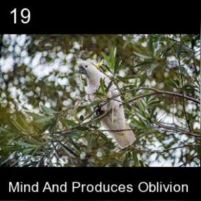 Mind And Produces Oblivion album cover