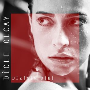 Dizinin Dibi album cover