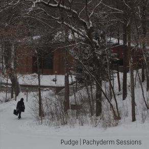 Pachyderm Sessions album cover