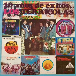 10 Años De Exitos album cover