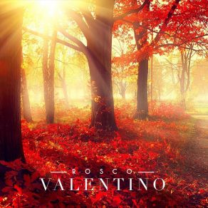 Valentino album cover