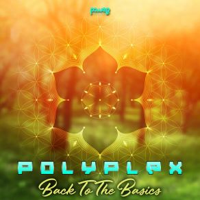 Back To The Basics album cover