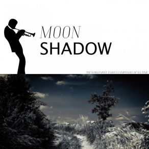 Moon Shadow album cover