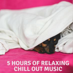 5 Hours Of Relaxing Chill Out Music album cover