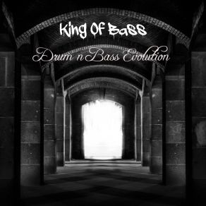 Drum N Bass Evolution album cover