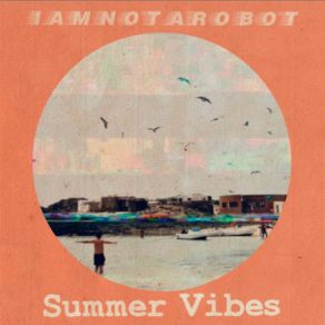 Summer Vibes album cover