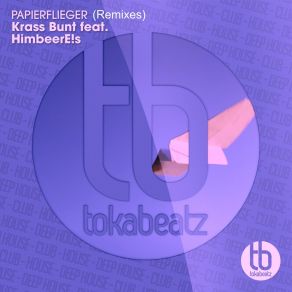 Papierflieger (Remixes) album cover