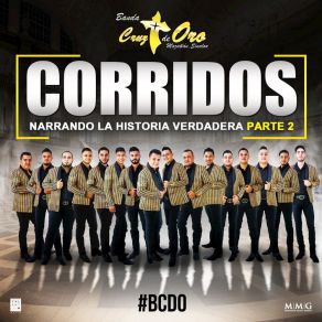 Corridos Narrando La Verdadera Historia, Pt. 2 album cover