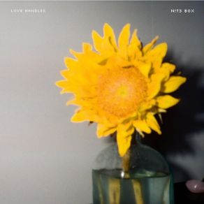 Love Handles album cover