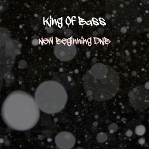 New Beginning D. N. B. album cover