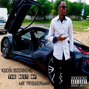 The Best Of Mr TriggerMan (CD1) album cover