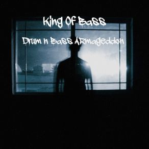 Drum N Bass Armageddon album cover