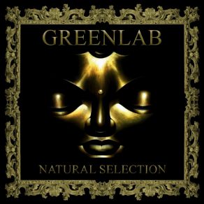 Natural Selection album cover