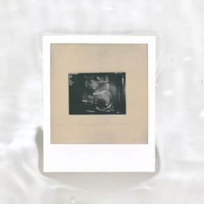 Volume III album cover