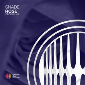 Rose album cover