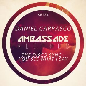 The Disco Sync - You See What I Say album cover