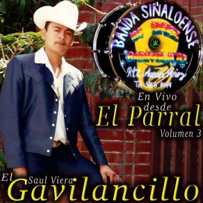 En Vivo Desde El Parral, Vol. 3 album cover