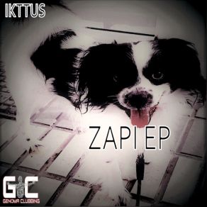 Zapi album cover