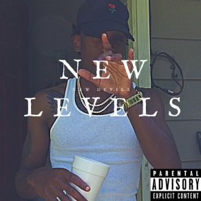 New Levels New Devils album cover