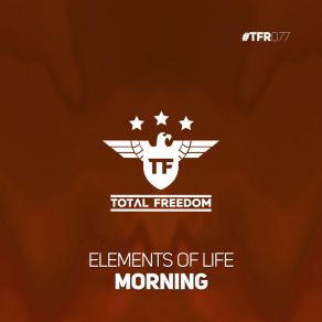 Morning album cover