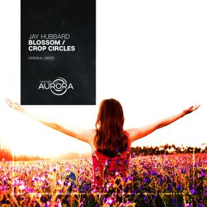 Blossom / Crop Circles album cover