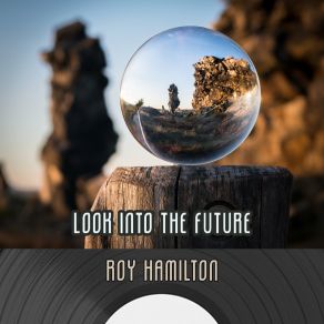 Look Into The Future album cover