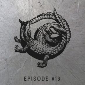 Episode # 13 album cover