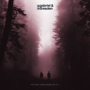 The Only Road Remix Pt I album cover