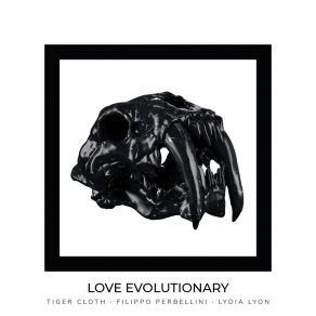 Love Evolutionary album cover