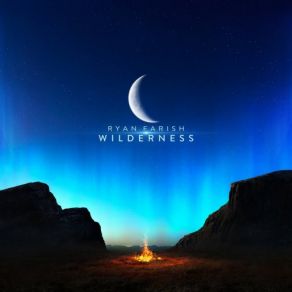 Wilderness album cover