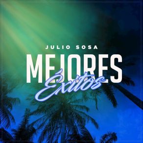 Mejores Éxitos album cover