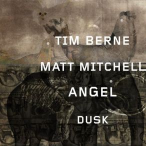 Angel Dusk album cover
