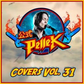Covers Vol. 31 album cover
