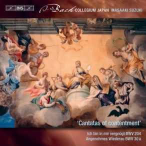 J. S. Bach: Secular Cantatas, Vol. 10 album cover
