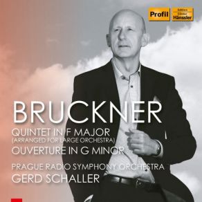 Bruckner: String Quintet In F Major (Arr. G. Schaller For Large Orchestra) & Overture In G Minor album cover